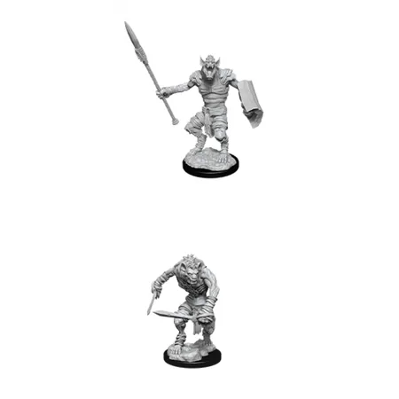 Dungeons & Dragons: Nolzur's Marvelous Miniatures - Gnoll & Gnoll Flesh Gnawer