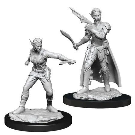Dungeons & Dragons: Nolzur's Marvelous Miniatures - Female Shifter Rogue