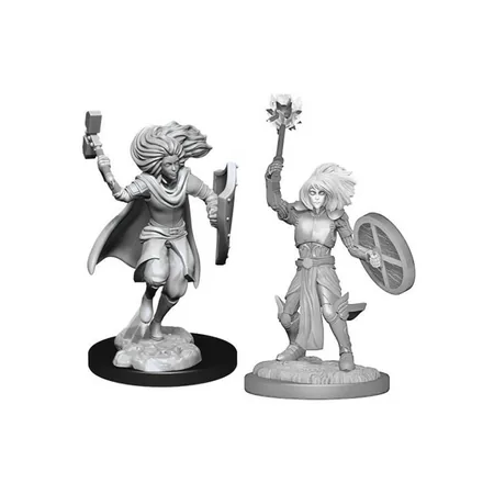 Dungeons & Dragons: Nolzur's Marvelous Miniatures - Female Changeling Cleric