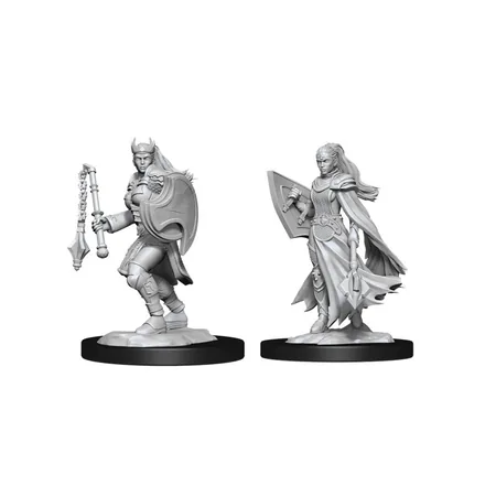 Dungeons & Dragons: Nolzur's Marvelous Miniatures - Female Kalashtar Cleric