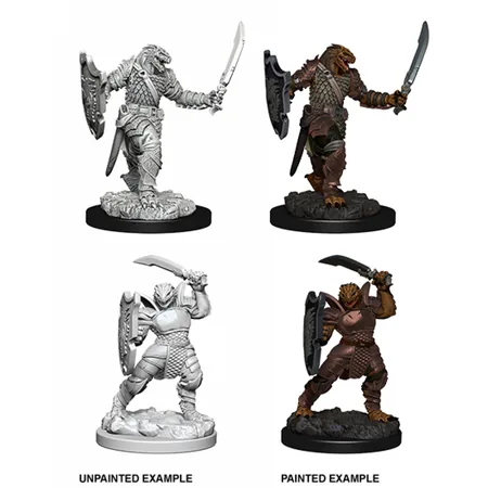 Dungeons & Dragons: Nolzur's Marvelous Miniatures - Dragonborn Female Paladin