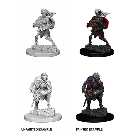 Dungeons & Dragons: Nolzur's Marvelous Miniatures - Drow
